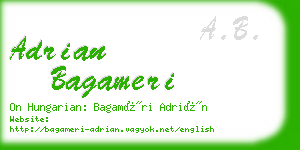 adrian bagameri business card